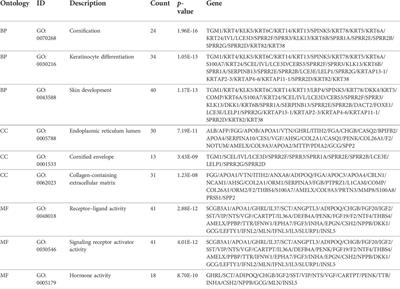 Association of FLG mutation with tumor mutation load and clinical outcomes in patients with gastric cancer